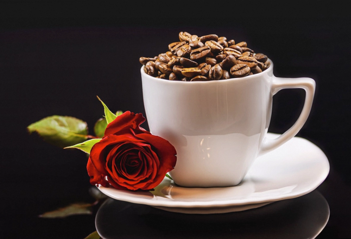 Handfilter mit frisch aufgebrühtem Kaffee auf einer heimischen Küchenzeile