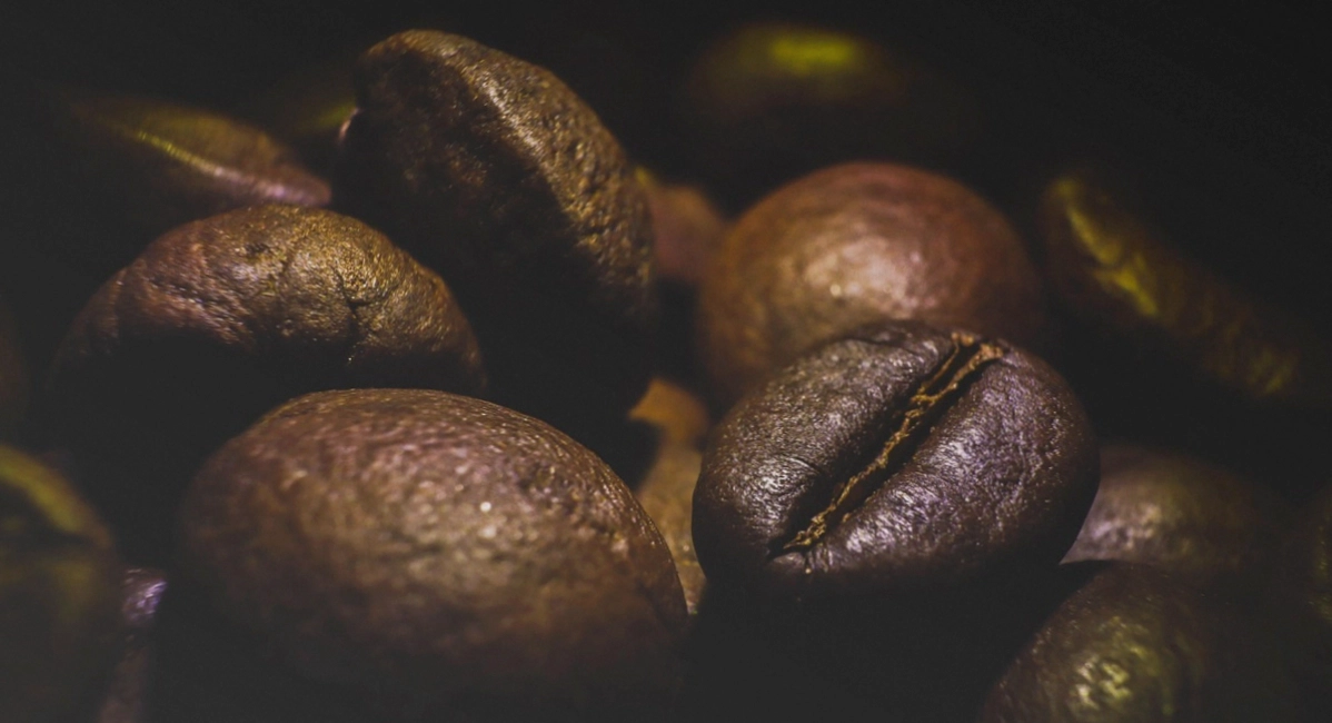 Barista hinter der Theke während einer privaten Feier