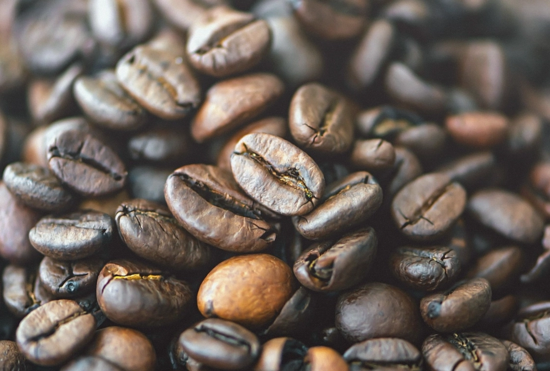 Drei Schälchen mit hell, mittel und dunkel gerösteten Kaffeebohnen im Vergleich